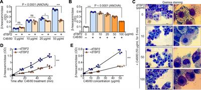 Dimerized Translationally Controlled Tumor Protein-Binding Peptide 2 Attenuates Systemic Anaphylactic Reactions Through Direct Suppression of Mast Cell Degranulation